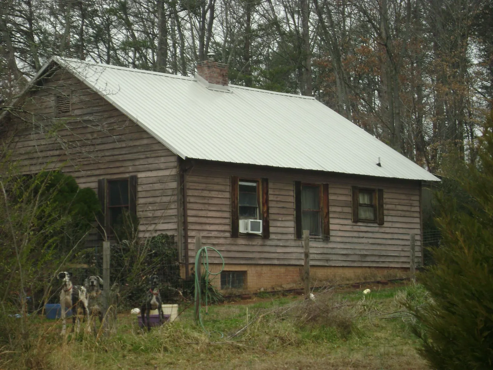 White metal roof on an old wood sided farmhouse, from a Asphalt Shingle Roof Repair job in Bellbrook